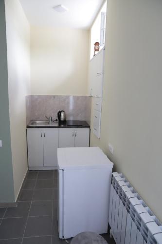 a small kitchen with a sink and a white refrigerator at Basalt Appartements Gyumri in Gyumri