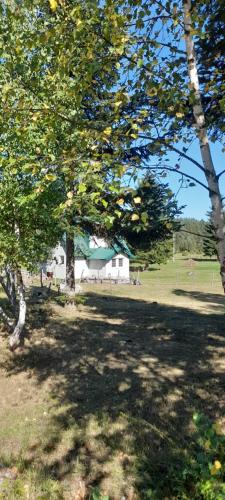 a group of trees in a field with a white barn at Holiday Home Krejović in Žabljak
