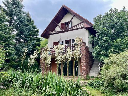 Vadrózsa ház, csendre vágyóknak 8257 Badacsonytomaj, 12 Vadrózsa út kép - 3