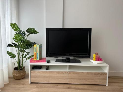 TV a/nebo společenská místnost v ubytování Estudio Camelia