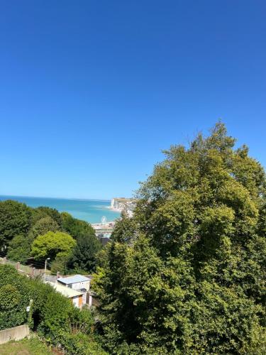 un arbre sur une colline avec l'océan en arrière-plan dans l'établissement villa Konny studio rez-de-chaussée, au Tréport