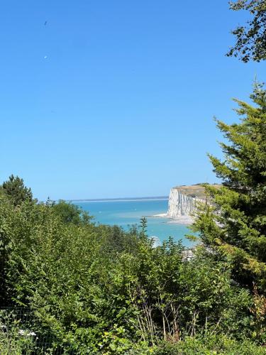 Naturlandskabet i nærheden af lejligheden