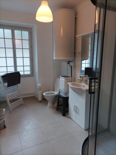 une salle de bain avec toilettes et lavabo dans l'établissement O'Couvent - Appartement 252 - 1 chambre - 72m2, à Salins-les-Bains