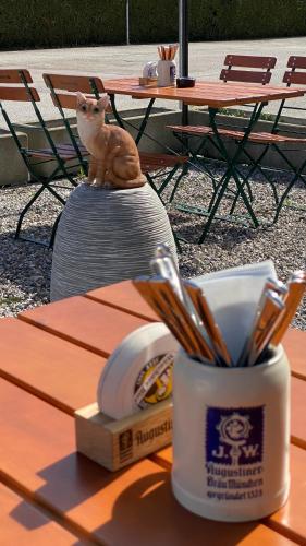 a table with a cup with a cat on top of it at Gasthof Zur Post - Inning in Inning am Ammersee