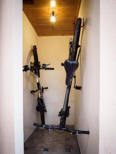 two bikes hanging on a wall in a room at Tierra Alta Hostal in San Cristóbal de Las Casas
