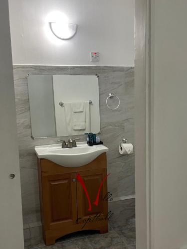 a bathroom with a sink and a mirror at Villa Copthall in Trafalgar