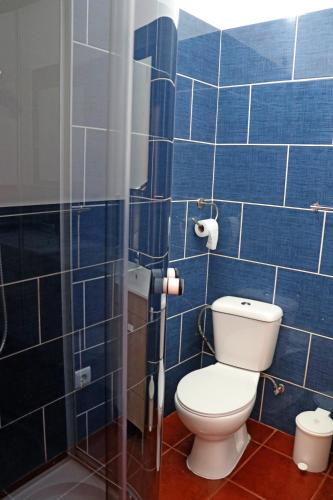a bathroom with a toilet and a blue tiled wall at Casa do Monte 2 in Castro Daire