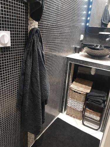 La salle de bains est pourvue d'une douche, d'une serviette et d'un lavabo. dans l'établissement Maison aéroport de Paris, à Le Thillay