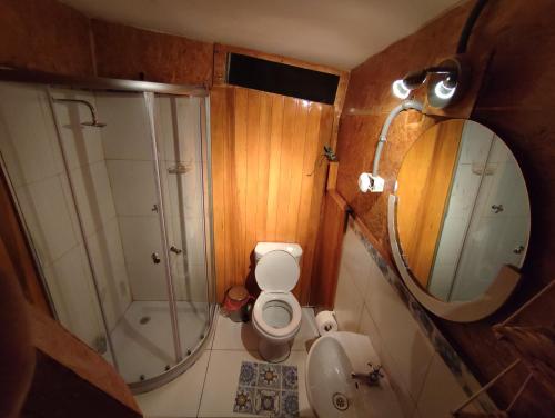 タラポトにあるDomo Geodésico Barlovento Ecolodgeのバスルーム(シャワー、トイレ、鏡付)