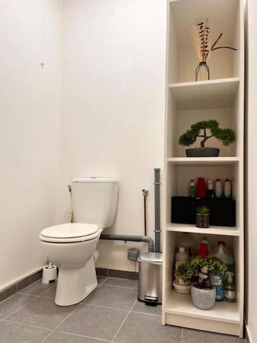 La salle de bains est pourvue de toilettes et d'une étagère avec des plantes. dans l'établissement Appartement Saint-Denis proche Stade de France, à Saint-Denis