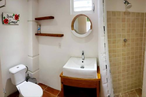un bagno con lavandino, WC e specchio di Cozy apartment a Willemstad