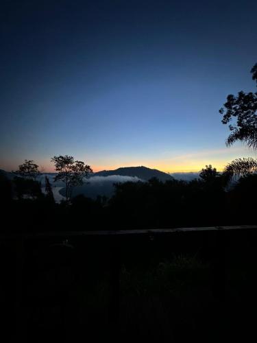 a view of the sunset from a field with trees at Mirante Cabanas da Serra in Nonoai
