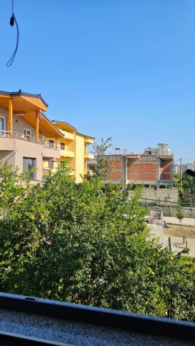 a green bush in front of a building at Fani's Apartment in Durrës