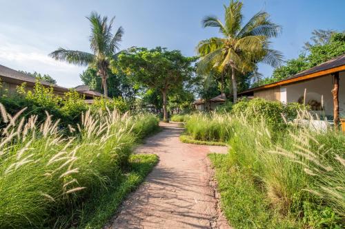 a path through the grass next to a house at Wilson's Retreat in Gili Trawangan