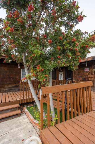 a wooden bench next to a tree with red flowers at Spacious Guest Suite Amazing Location in San Diego