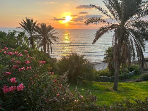 a sunset on the beach with palm trees and flowers at Natanya Sea View in Netanya