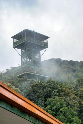 a building on top of a hill with trees at Homestay Murah Lahad Datu in Lahad Datu