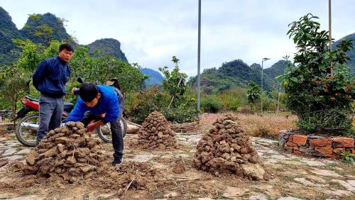 two people are working on a pile of dirt at Nasan Green Farm in Cao Bằng