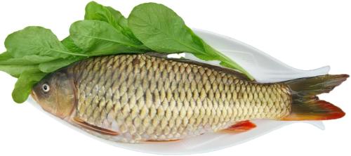 a fish on a plate with a plastic fork at Nasan Green Farm in Cao Bằng