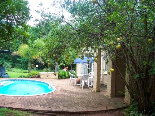 a backyard with a swimming pool and a table and umbrella at Luilekker Chalets in Waterval-Onder