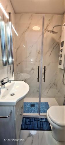 a bathroom with a shower and a sink and a toilet at Sea and Blue Sky 1A in Calimera