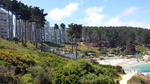 a view of a beach with buildings and the ocean at Algarrobo Apartment in Algarrobo