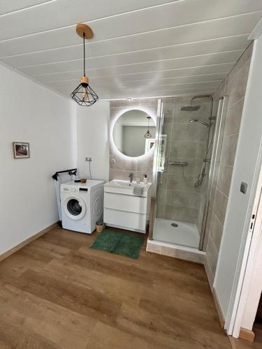 La salle de bains est pourvue d'un lavabo et d'un lave-linge. dans l'établissement Le gîte du Château Mouton, à Châtenoy-le-Royal