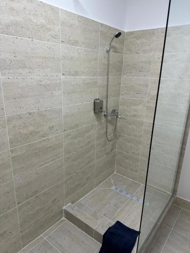 a shower stall with a glass door with a shower at Pensiune Restaurant Rustic Rm Sarat in Rîmnicu Sărat