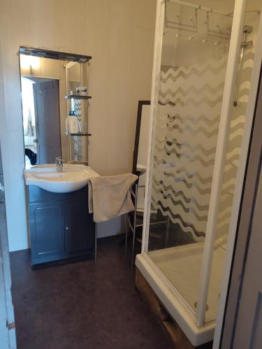 une salle de bain avec un lavabo et une douche dans l'établissement Grand appartement à Anduze - Cevennes Flat, à Anduze
