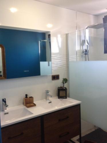 a bathroom with a sink and a mirror at Maison individuelle plein centre avec jardin ,au pied du Mont Ventoux in Malaucène