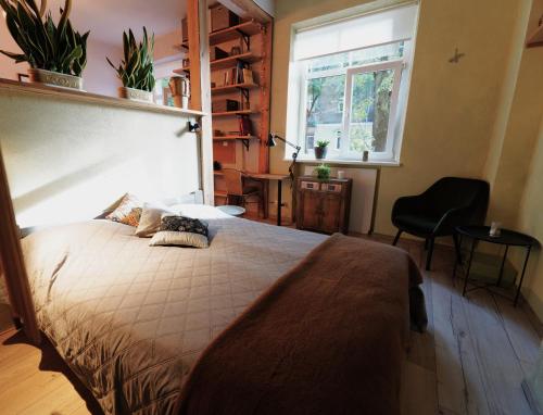 een slaapkamer met een groot bed en een raam bij Jaukus Butas - Studija centre in Klaipėda