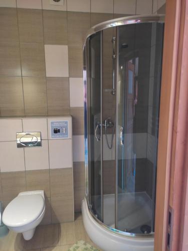 a bathroom with a shower and a toilet at Środkowa 20 in Białka Tatrzanska