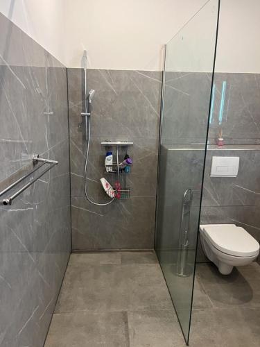 a bathroom with a shower and a toilet at City Apartment in Bad Sassendorf