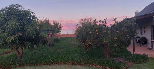 Ein Garten an der Unterkunft Ouma Bettie Guesthouse