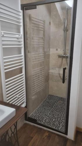 une douche avec une porte vitrée dans une salle de bain dans l'établissement 2 pièces terrasse, à Wasselonne