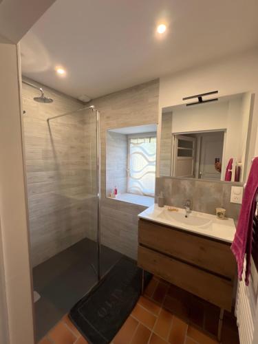 une salle de bain avec un lavabo et une douche dans l'établissement Location à la campagne, à Saint-Mars-de-Locquenay
