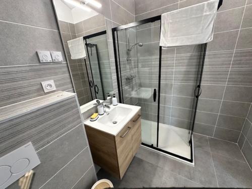 une salle de bain avec douche et lavabo dans l'établissement Maison 30 avec 5 chambres lechaffardcom, à Satolas-et-Bonce