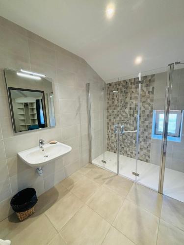 une salle de bain avec un lavabo et une douche dans l'établissement Les pierres roses, à Coise