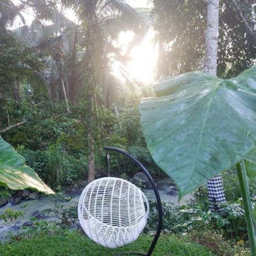Сад в JungleHavenBali - Private and Nature Stay