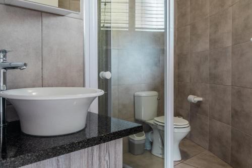 a bathroom with a sink and a toilet at ATKV Goudini Spa in Rawsonville
