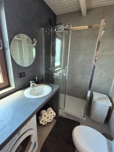 a bathroom with a shower and a sink and a toilet at GÓRSKA SIELANKA in Istebna