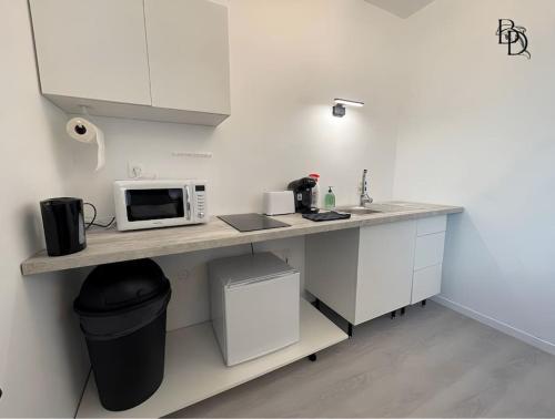 une cuisine avec un comptoir avec un micro-ondes dessus dans l'établissement Appartement B1 T3 60 m2 Cosy 7min proche gares, à Roanne