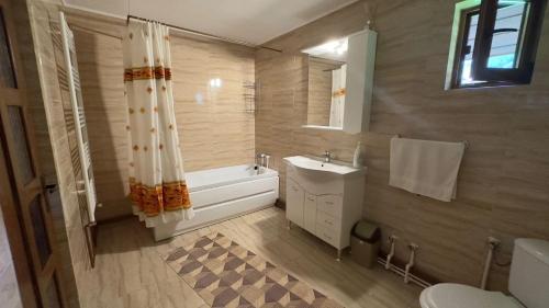 a bathroom with a tub and a sink and a toilet at Cabana Lazea in Gîrda de Sus