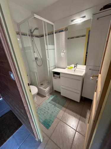 une salle de bain avec une douche, un lavabo et des toilettes dans l'établissement Studio face aux pistes avec wifi, à Villard-de-Lans