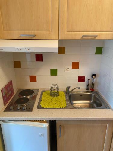 Il comprend une cuisine équipée d'un évier et d'une cuisinière. dans l'établissement Studio face aux pistes avec wifi, à Villard-de-Lans