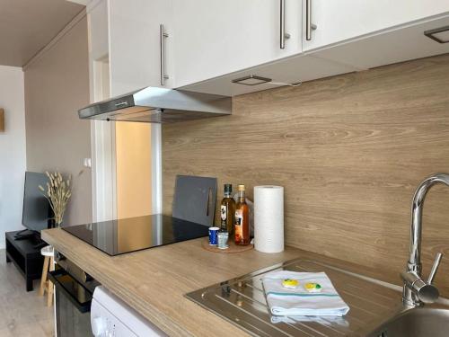 eine Küche mit Spüle und Arbeitsplatte in der Unterkunft Rouen Saint Julien - L'Esprit village in Rouen