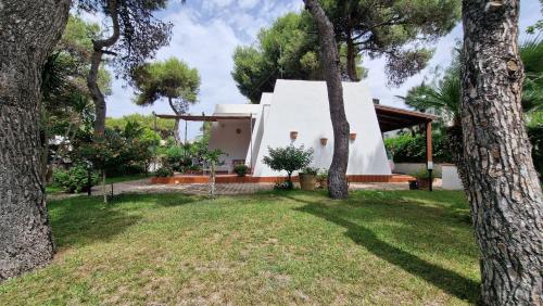 Κήπος έξω από το Villa in Riva al Mare