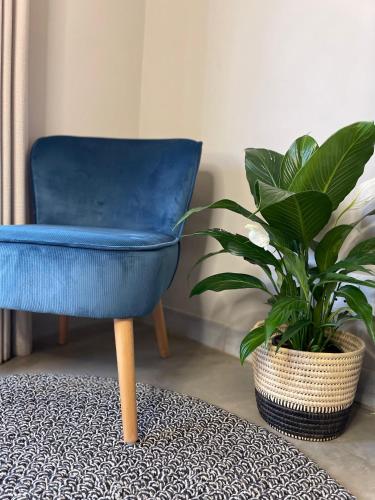 a blue chair sitting next to a potted plant at The Baobab Bush Lodge and Villa in Hoedspruit
