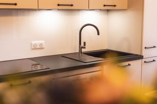 a kitchen with a sink and aaucet at Le Rioumajou 1 - Grand T6 - Piscine - Centre St Lary in Saint-Lary-Soulan