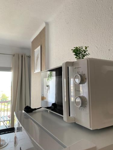 Un horno microondas colocado encima de una encimera. en Apartamento en frente al mar de Empuriabrava, en Empuriabrava